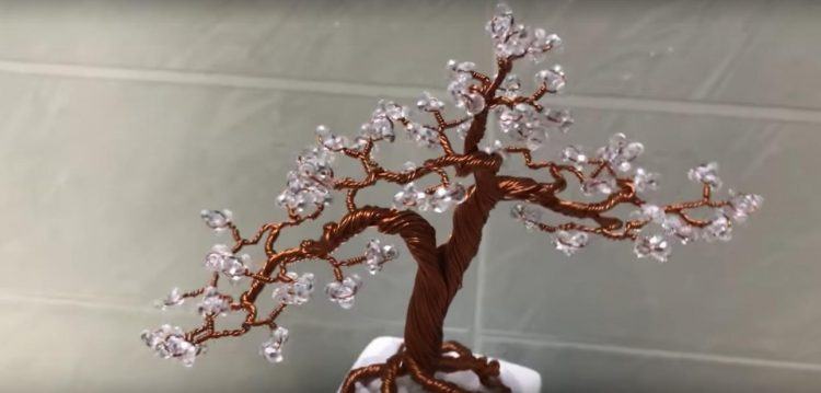 Cây bonsai hạt cườm mini tuyệt đẹp cho ngày tết