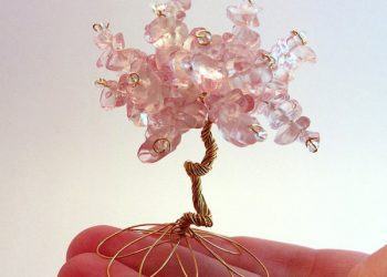 Cây bonsai hạt cườm nhỏ để bàn cực xinh 15 Cây bonsai hạt cườm nhỏ để bàn cực xinh