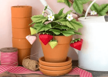 Chậu dâu tây mini có thể đặt trên bệ cửa sổ, bàn làm việc,... (Nguồn: Internet)