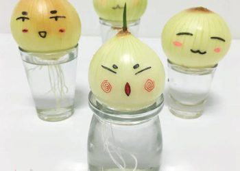 Một vài "khuôn mặt" có thể vẽ lên củ hành để bạn tham khảo (Nguồn: Internet)