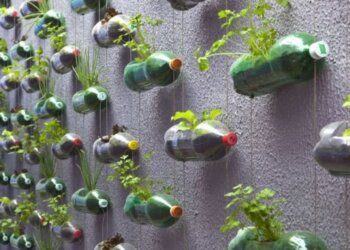 Bảo vệ môi trường với 5 phút làm chậu hoa handmade từ chai nhựa