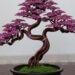 Bonsai bằng kẽm đồng