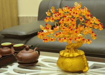 Hạt Cườm Hoài Như - Địa điểm bán gốc cây kim tiền tốt nhất 12 Địa chỉ bán gốc cây kim tiền cành vàng lá ngọc giá rẻ