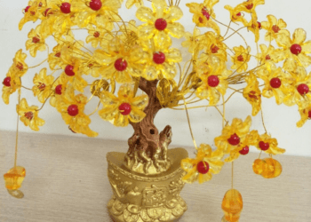 Cách làm cây kim tiền vàng đón may mắn cho gia chủ 8 Cách làm cây kim tiền vàng đón may mắn cho gia chủ