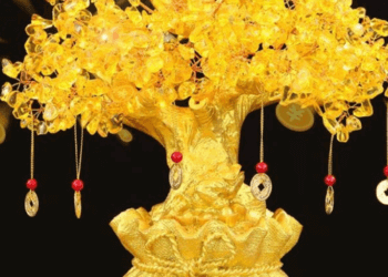 2 cách hướng dẫn tạo cây kim tiền giả tại nhà 13 2 cách hướng dẫn tạo cây kim tiền giả tại nhà