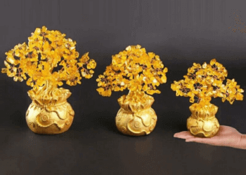 Ý nghĩa phong thuỷ và cách tạo cây kim tiền bằng vàng