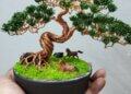 Cửa hàng Hạt cườm Hoài Như - bán kẽm chuyên dụng cho cây bonsai 8 bonsai bằng kẽm