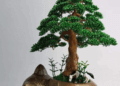 Tổng hợp cách tạo mẫu cây bonsai nghệ thuật độc đáo 10 Tổng hợp cách tạo mẫu cây bonsai nghệ thuật độc đáo