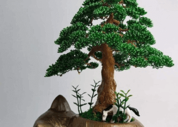 Tổng hợp cách tạo mẫu cây bonsai nghệ thuật độc đáo 16 Tổng hợp cách tạo mẫu cây bonsai nghệ thuật độc đáo