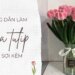 4 ý nghĩa và cách làm hoa tulip từ kẽm nhung 18 4 ý nghĩa và cách làm hoa tulip từ kẽm nhung