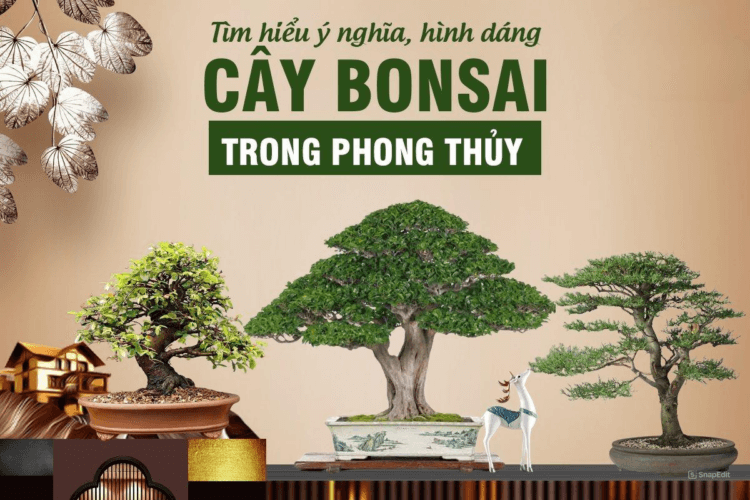 Cây bonsai là gì? Ý nghĩa 3+ dáng cây bonsai đẹp 3