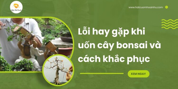 6 lỗi hay gặp khi uốn cây bonsai và cách khắc phục 7 6 lỗi hay gặp khi uốn cây bonsai và cách khắc phục