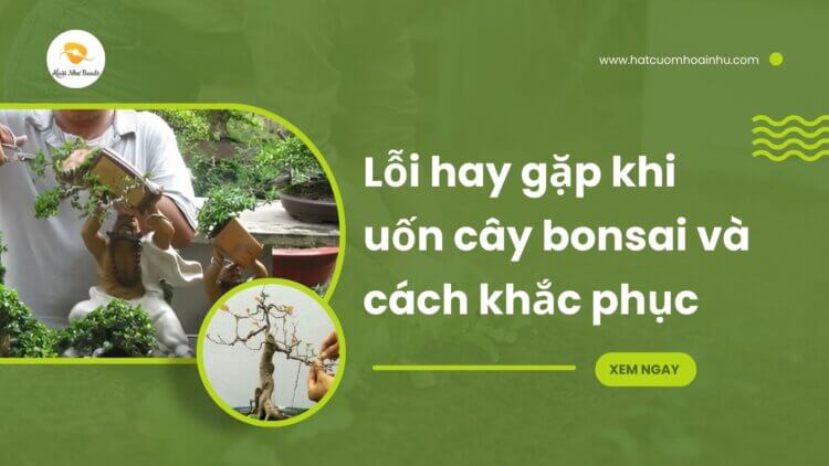 6 lỗi hay gặp khi uốn cây bonsai và cách khắc phục 1