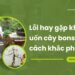 6 lỗi hay gặp khi uốn cây bonsai và cách khắc phục 21 6 lỗi hay gặp khi uốn cây bonsai và cách khắc phục